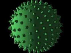 Massage Ball