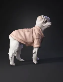 small dog wearing a tan hoodie on a rocky outdoor ground