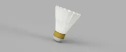 Badminton Birdie