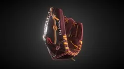 Baseball Glove