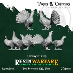 Capercaillies - Props&Critters: Animals of the World