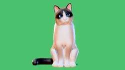 Low poly - Stylized cats - Snowshoe Cat