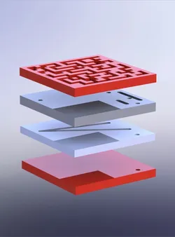 Model Maze Maniac