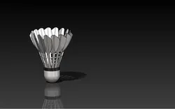 Shuttlecock