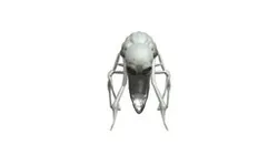Alien insectoid creature