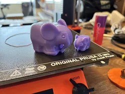 Biscuit the Elephant