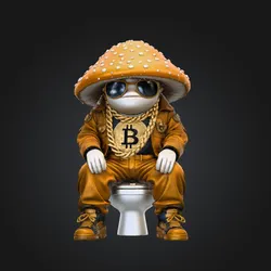 Bitcoin Dumps