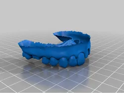 Model N° 04
