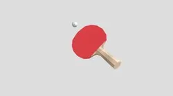 Ping Pong Racket