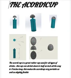 The Acordicup