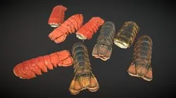 Atlantic Lobster Tails