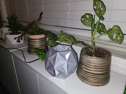 Star Dodecahedron (Solid or Vase Mode)