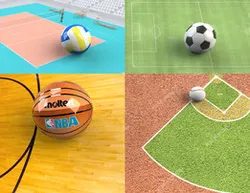 The balls (football, volleyball, basketball and baseball)