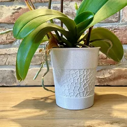 Voronoi orchid planter flower pot
