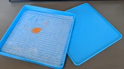 Wet Palette
