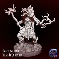 Yuan Ti Sorcerer  |  Presupported