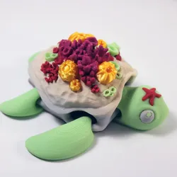 Coral Turtle