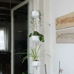 Hanging Planters