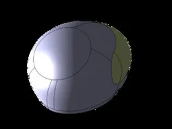helmet