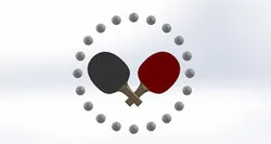 Ping-pong paddles (with ping-pong balls)