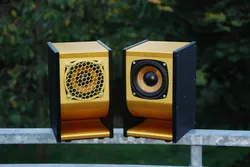 Serpent speaker box