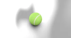 Tennis ball