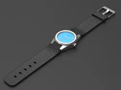 Wrist watch