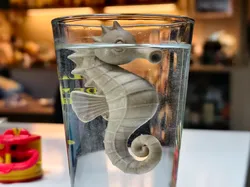 可以悬浮在水中的海马