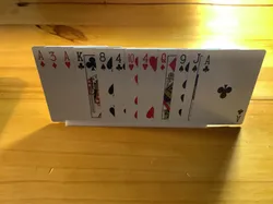 12 card holder