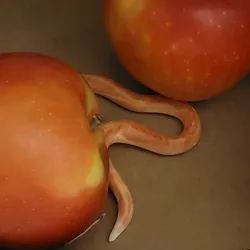 3D printer bestanden | 3MF | Prank earthworm