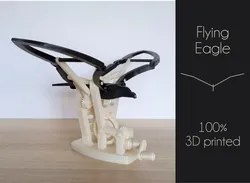 Flying Eagle Automata