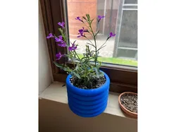 Planter