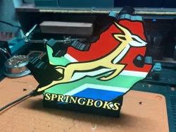 Springboks Rugby Lightbox