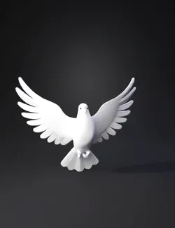 white dove minimalistic opened wings graphic