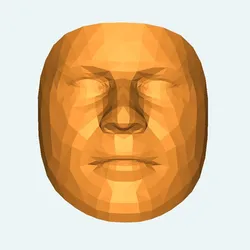 Blank Face mask