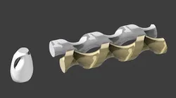 Tornillos de alimentación / Timing Screws