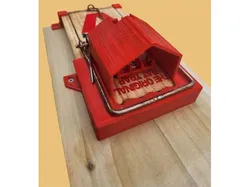 Victor Compatible Rat Trap Hood with Hold Down, Bait Adapter and Back Hold Down