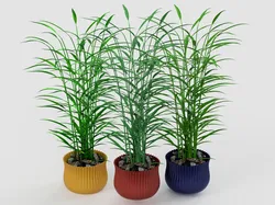 Wavy Flower Pot