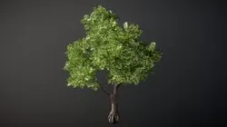 Realistic Tree