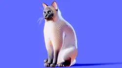 Low poly - Stylized cats - Siamese Cat