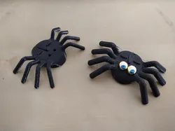 Spider