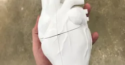 Animatronic Heart