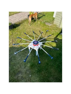 Big scentwheel (carousel nosework )