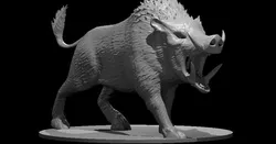 Boars Updated