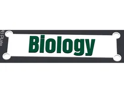 Magnetic Signs for Dry Erase Boards