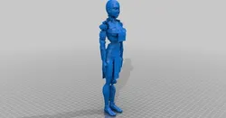 Robot Chick