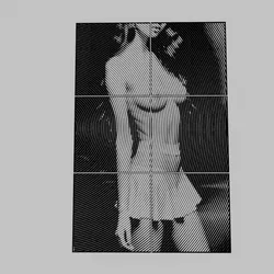 WALL ART - a nude woman posing in a white skirt