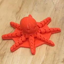 Cute Mini Octopus