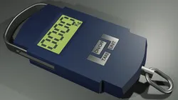 Electric Weight Scale