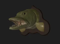 pike head detailed texture trophy taxidermy